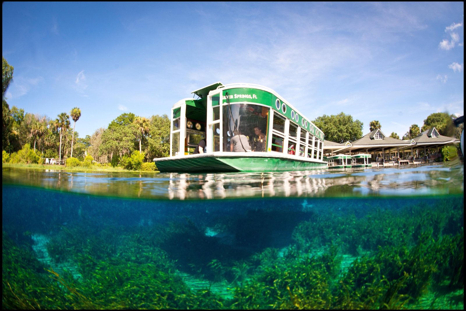 Silver Springs glass-bottom boat