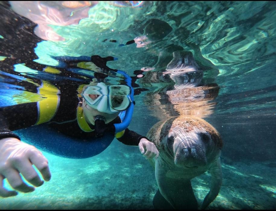 Crystal River manatee tour