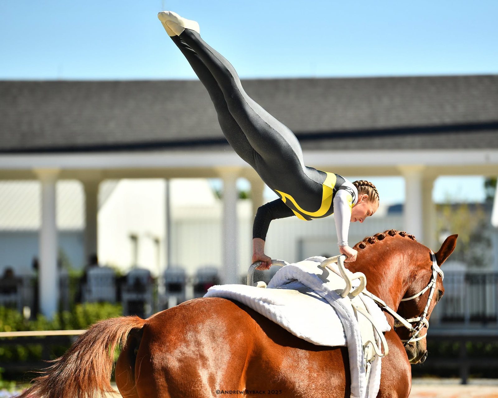 World Equestrian Center Ocala